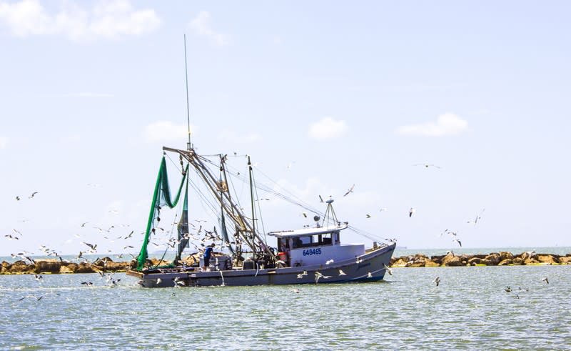 Seawall - shrimp boat