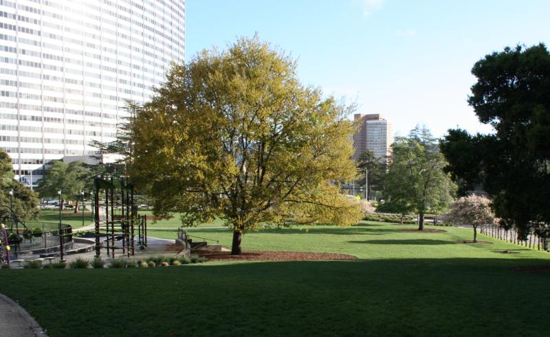 Snow Park Courtesy of OPRF