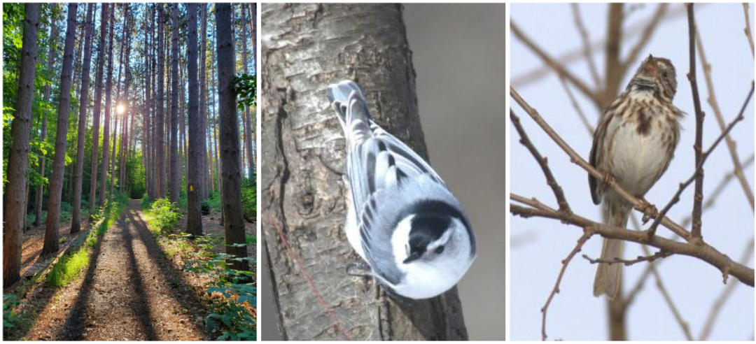 Cumming Nature Center Birding