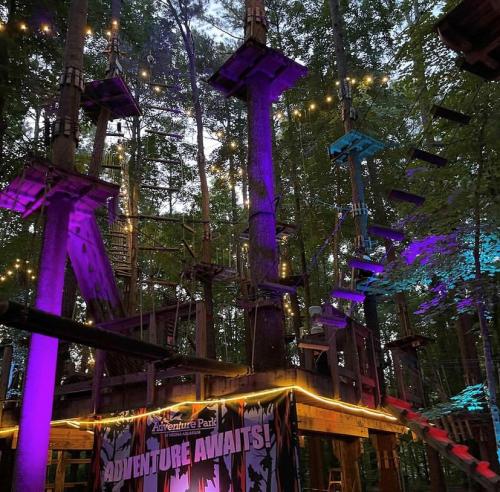 tree top adventure park at dusk with glowing purple lighting