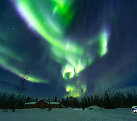 Aurora Viewing and Photography