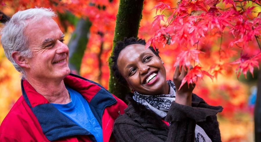A couple looking at maple leaves at Westonbirt, The National Arboretum, in the Cotswolds