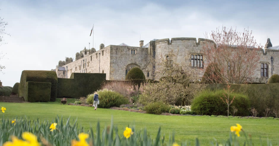 View of daffodils and Chirk Castle in the background
