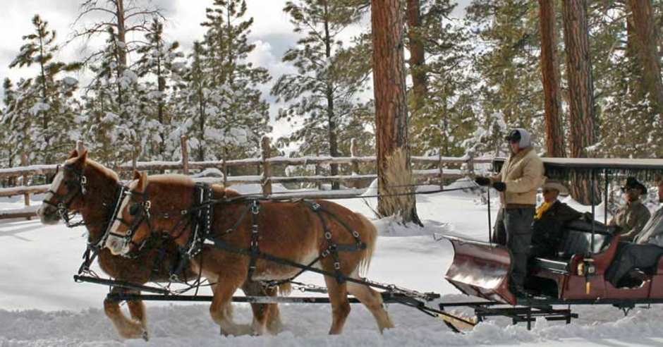 Snowy Sleigh Rides at Ruby's Inn in the Winter