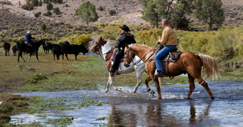 Rockin' R Ranch guests on horseback