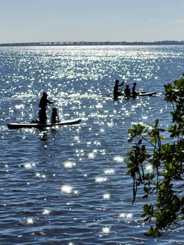 Paddleboarding on beautiful Charlotte Harbor