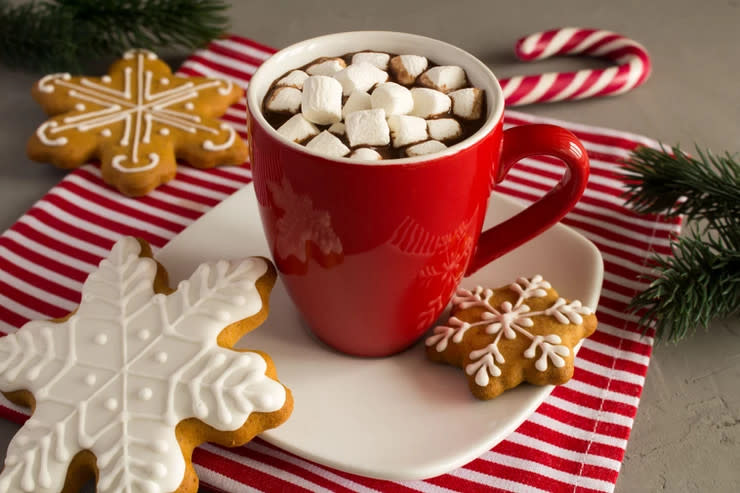 Hot Cocoa and Cookies