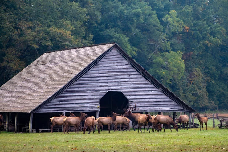 Mountain Farm Museum