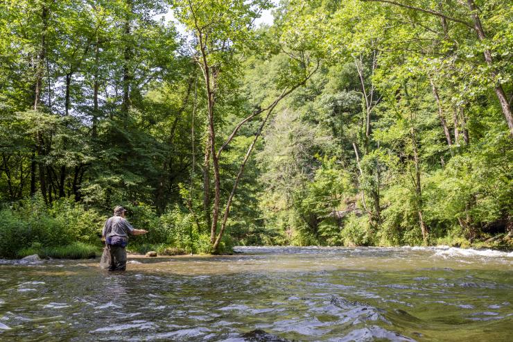 Nantahala Gorge Fly Fishing Solo