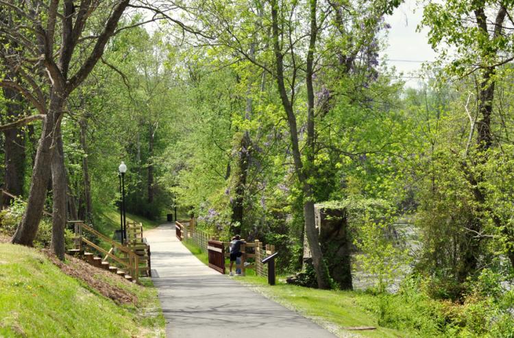 Trees along the Buffalo Creek Path in Clayton, NC.