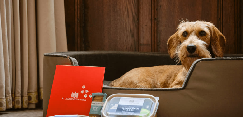 A dog and a dog welcome hamper at Ellenborough Park Hotel in Cheltenham
