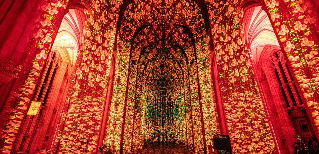 Poppy Fields created by Luxmuralis at Winchester Cathedral