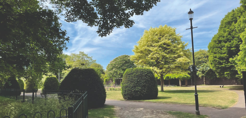 Trees within Winston Churchill Memorial Gardens