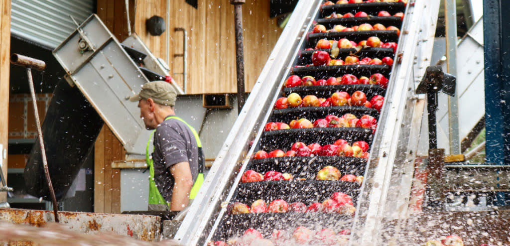 Apple pressing at Dunkertons in Cheltenham.