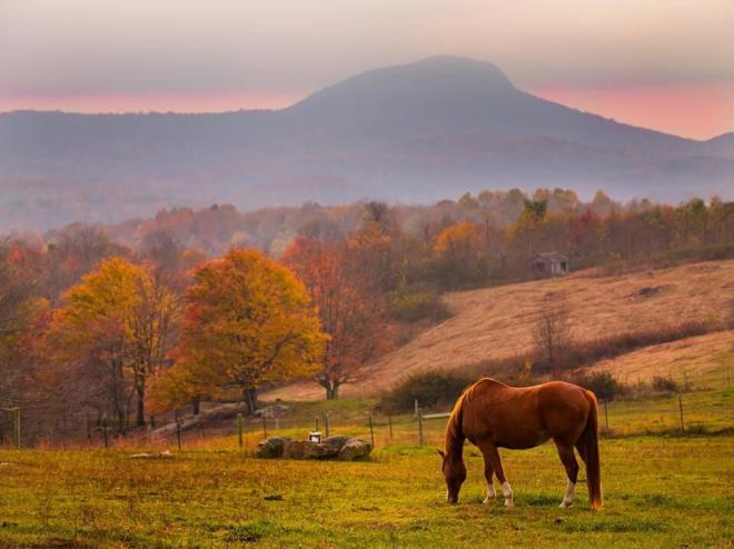 Buffalo Mountain - Floyd County