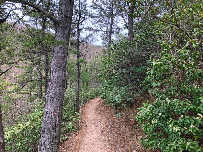 Poor Mountain Trail - Roanoke, Virginia