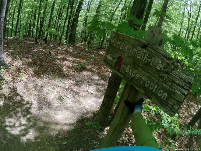 Where the trail splits on the climb of Trough trail at Carvins Cove outside Roanoke, Virginia