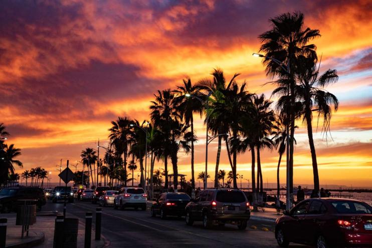 traffic, palm trees and sunset