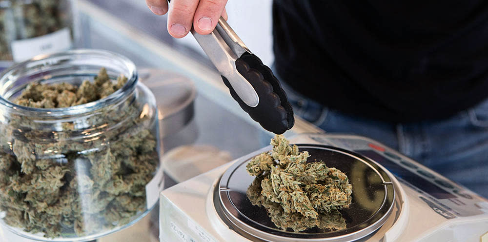 Measuring out and weighing cannabis