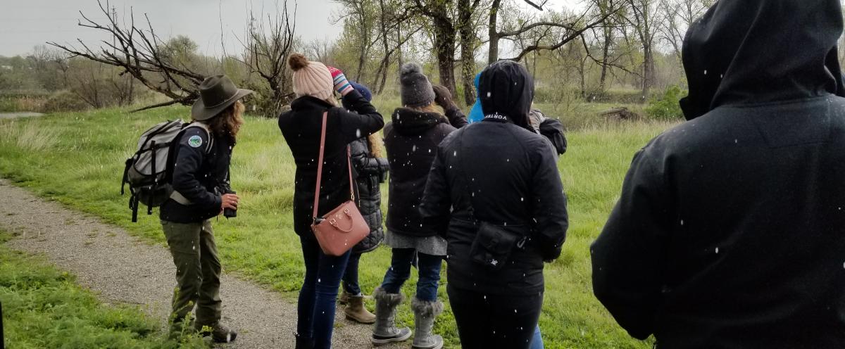 Group looking through binoculars for birds at Sawhill Ponds