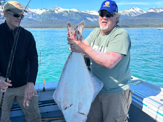 Halibut fun