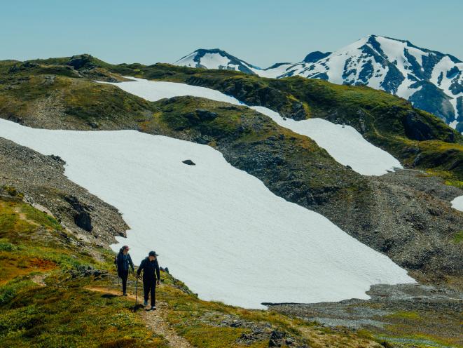 The Alpine