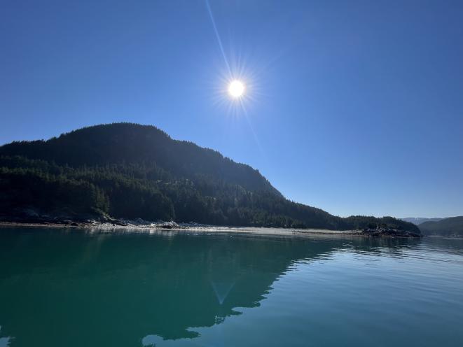 Bluebird Sky