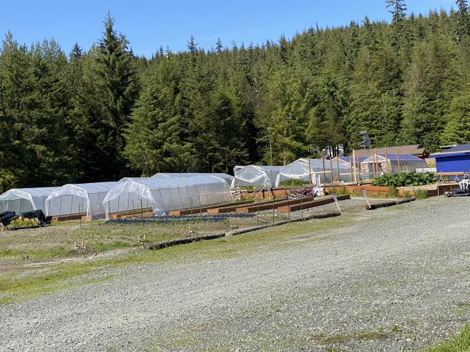 Pederson Hill Flower Farm