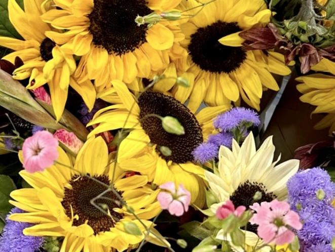 Seasonal Flowers