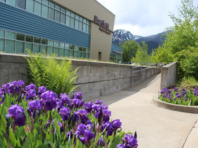 Spring is iris season on the Bartlett campus