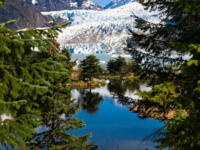 Mendenhall Glacier through the Trees