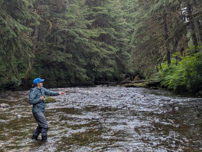 Rainforest Fishing