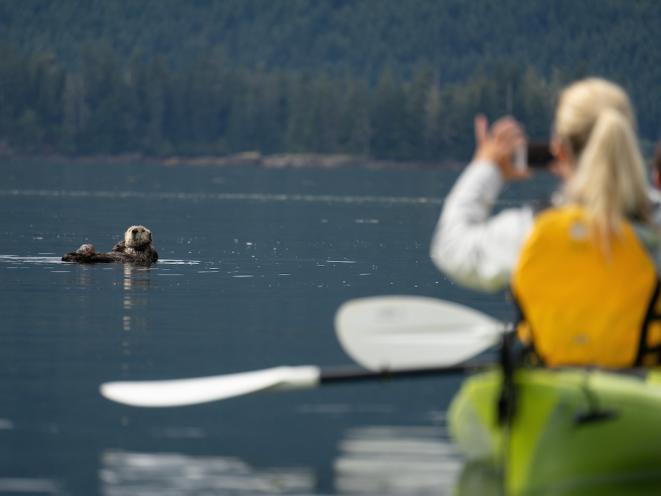 Upclose with Sea Otter by Kayak - UnCruise Adventures