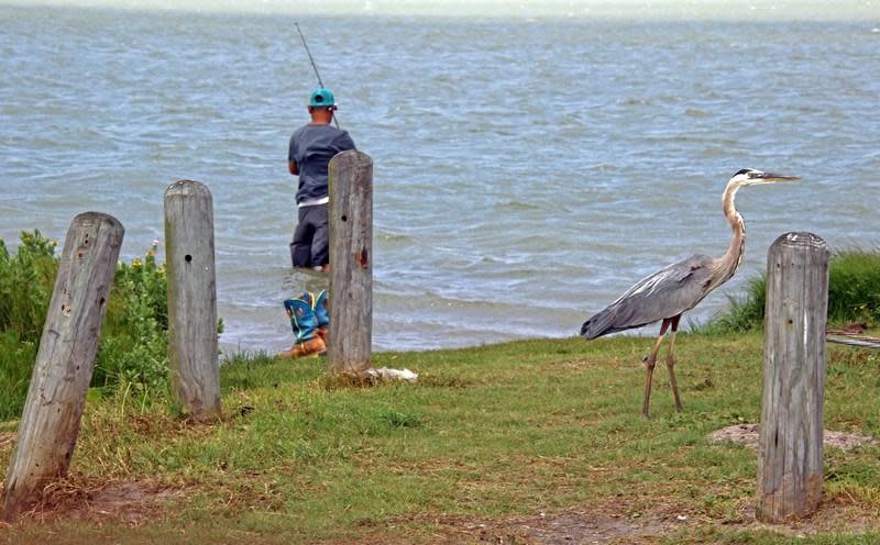 Packery Channel Nature Park  Kayak Launch.jpg