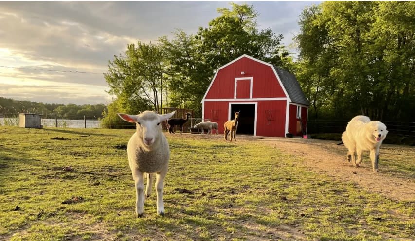 Nordic Farm