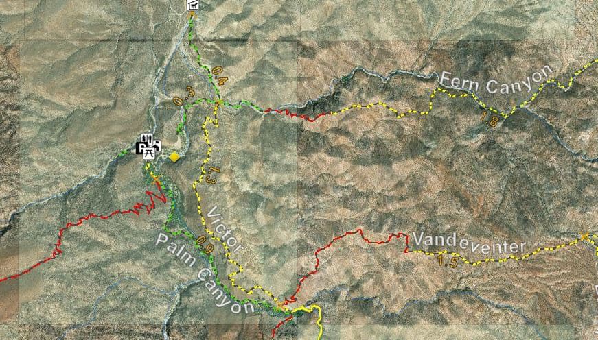 Vistor Trail Map Palm Canyon