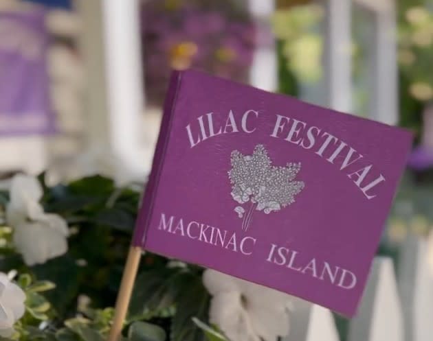 Purple Mackinac Island Lilac Festival flag with lilacs in the background