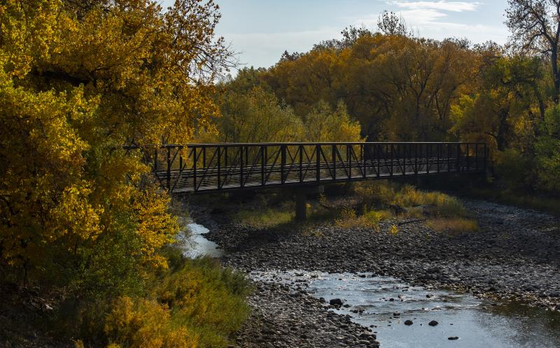 Laporte Bridge going over river with trees with yellow leaves