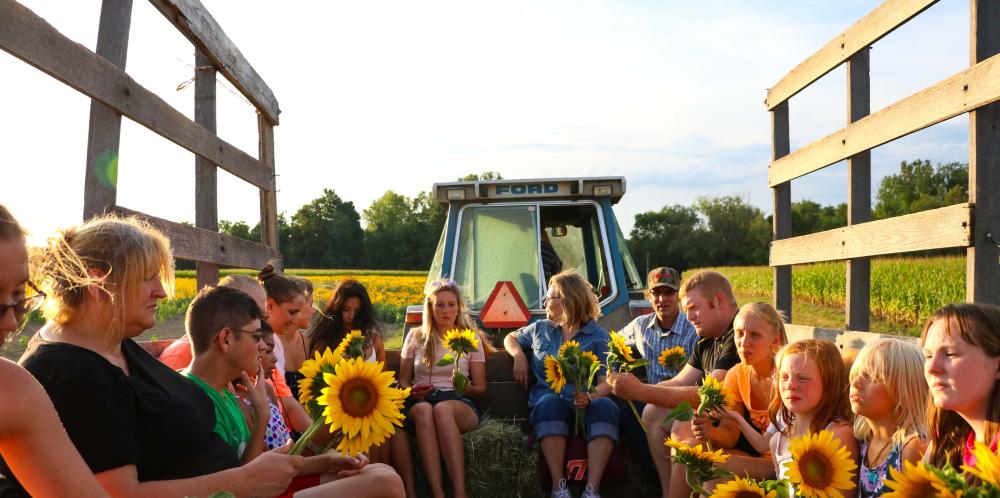 Families on a sunflower tour