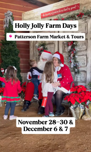 Holly Jolly Farm Days Thumbnail