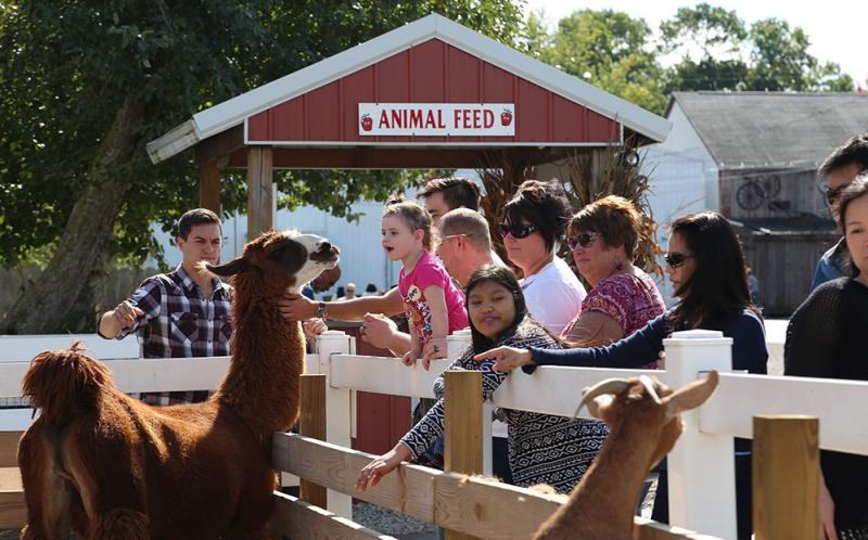 Wiard's Petting Zoo & Animal Feed