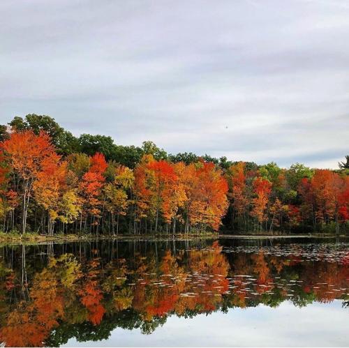 Ann Lee Pond Nature Preserve Fall Foliage