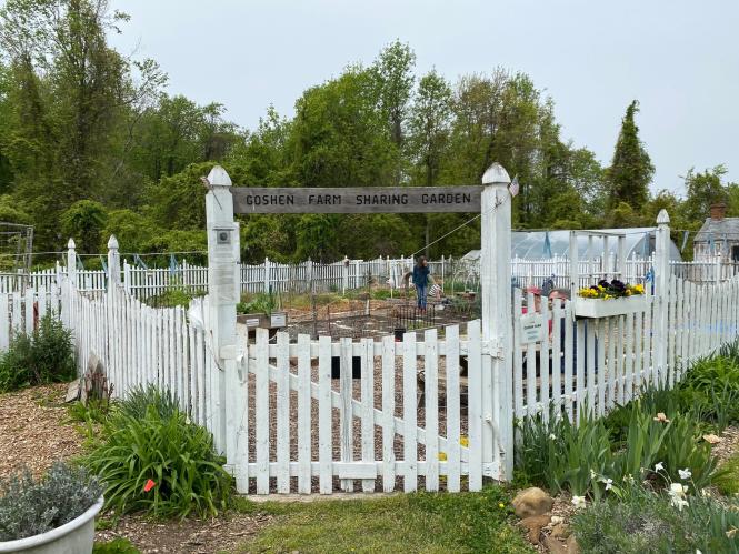 The sharing garden at Goshen Farm with picket fence