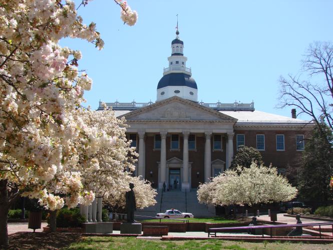 Maryland State House with cherry Blossoms blooming