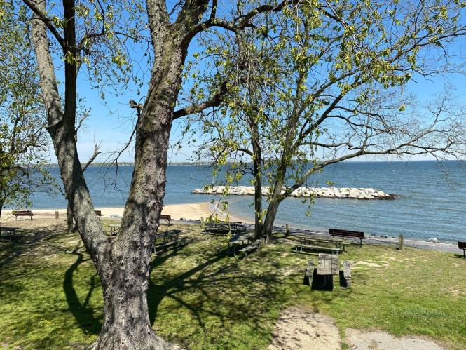 May Beach Park view of picnic area and beach