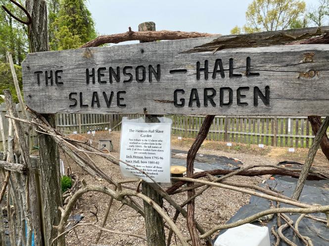 Former slave garden at Goshen farm.