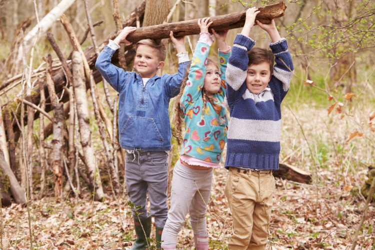 den building