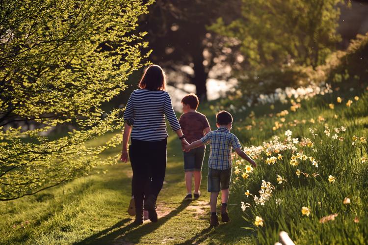 Visitors in the garden at Killerton  springtime, Devon National Trust Images John Millar.jpg