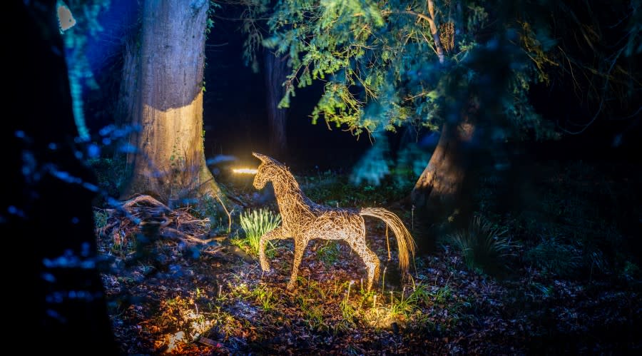 The Enchanted Garden