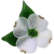 A four petal flower with two green leaves and a green center.